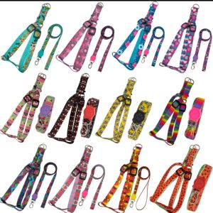 conjunto peitoral coleira + guia